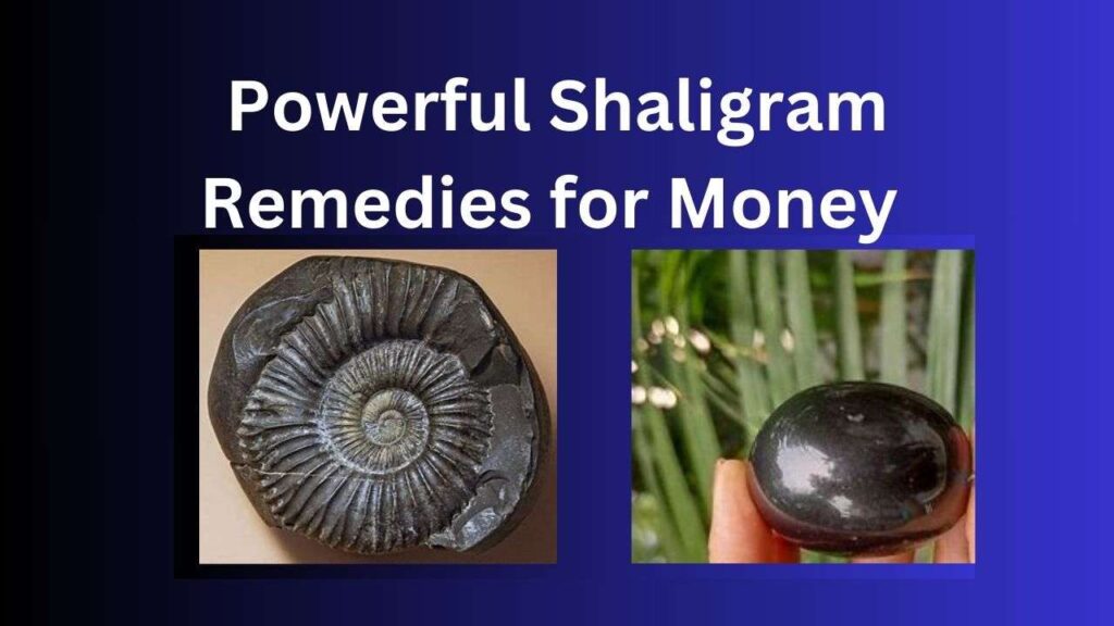 Powerful Shaligram Remedies for Money in 2025: Paise Ki Duniya Mein Shubh Labh